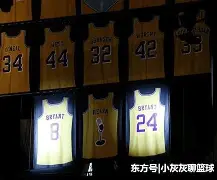 三亿网址 -关于新奥尔良鹈鹕发布备战花絮，今晨完成体检，NBA季后赛任务艰巨，身体对抗强度拉满的信息