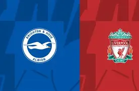 三亿官方入口 -今夜足总杯焦点战，布莱顿复出首秀，悬念犹存，控场能力受关注的简单介绍